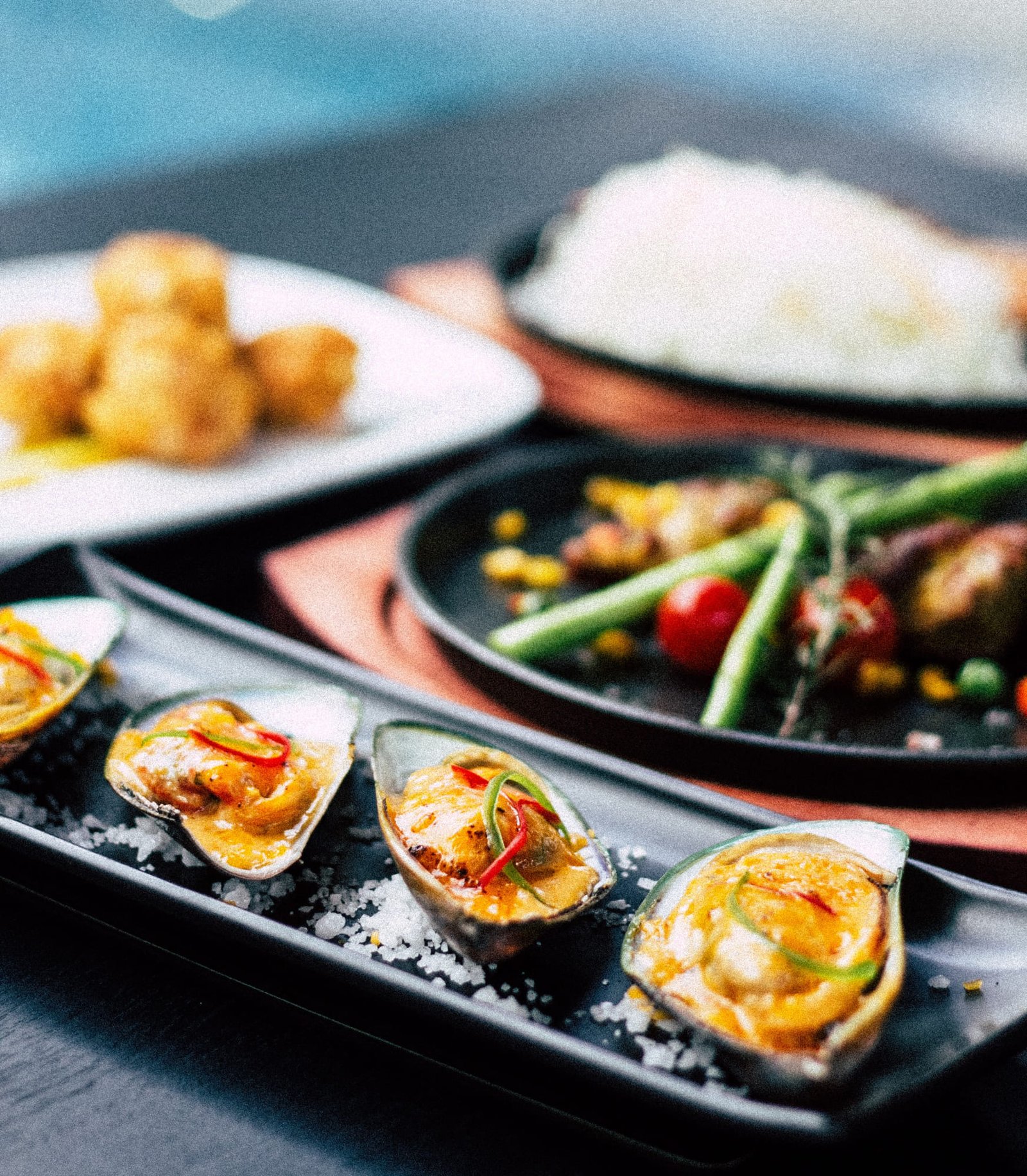 Oysters Oysters
